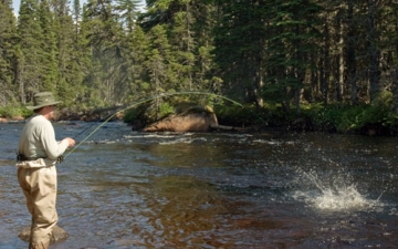 Beaver Brook