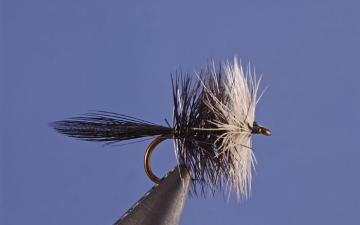 Dry Fly: Blk Bivisble