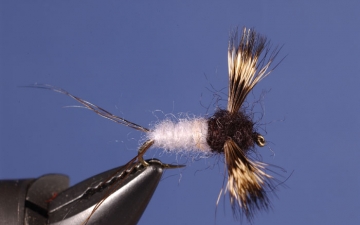 Dry Fly: Coffin Fly