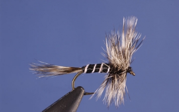 Dry Fly: Mosquito