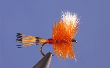 Dry Fly: Pocket Water