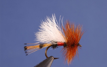 Dry Fly: Royal Coachman Trude