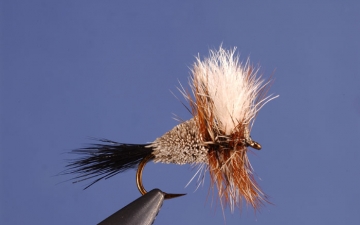 Dry Fly: Wulff Irresistible