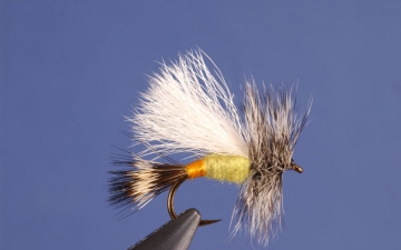 Dry Fly: Yellow Trude