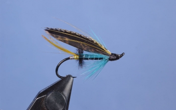 Hairwing: Blue Charm Feather