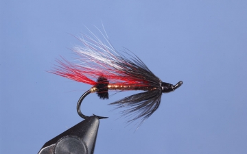 Hairwing: Cains Copper