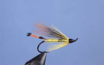Hairwing: Tobique Special