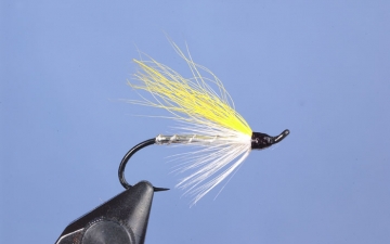 Hairwing: Yellow Calftail