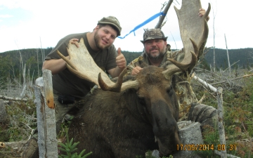 Hunter's Moose