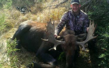 Great Moose Hunt