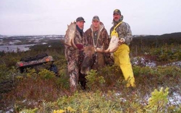 Newfoundland Moose Hunt