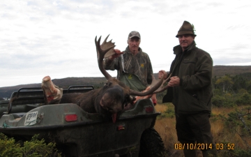 Fall Moose Hunt