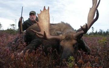 Big Bull Moose Hunt